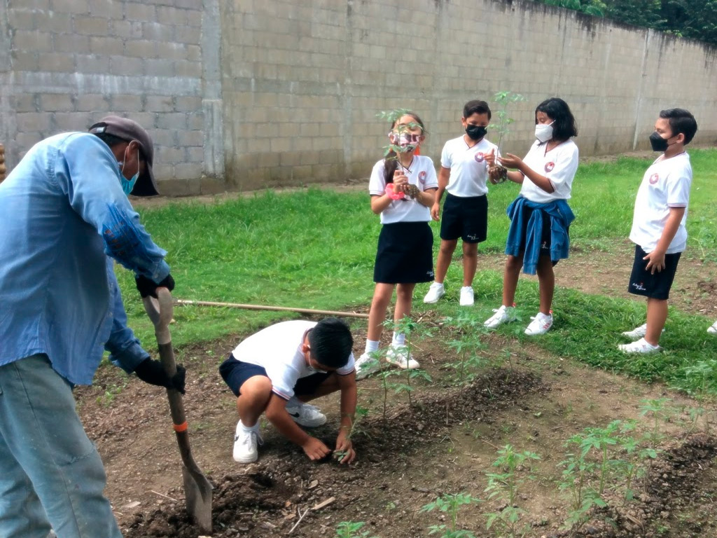 Foto Sembrando árbol
